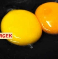 Sahte Yumurta Nasıl Anlaşılır?