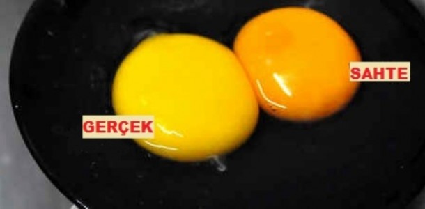 Sahte Yumurta Nasıl Anlaşılır?