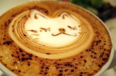 Kahve Köpüğünden Sanat